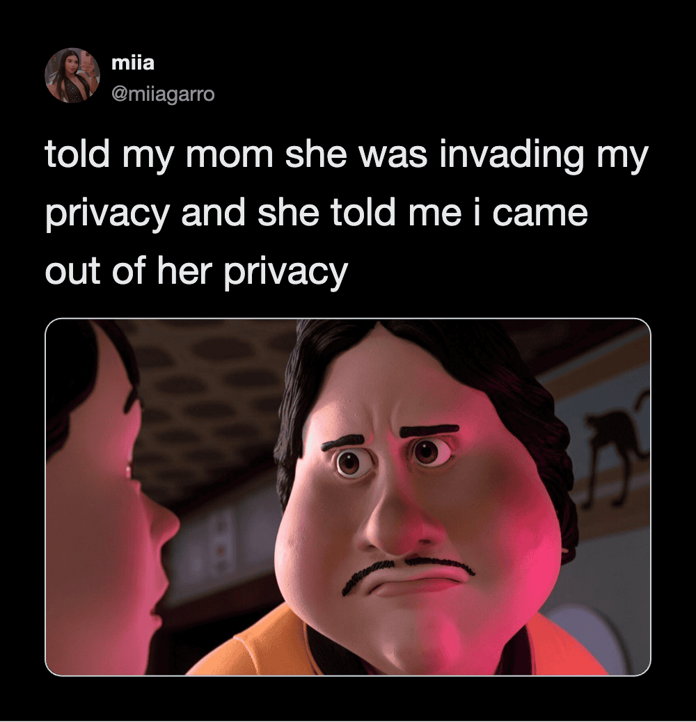 Invasion of privacy meme with a cartoon character with a mustache and worried expression, talking to.