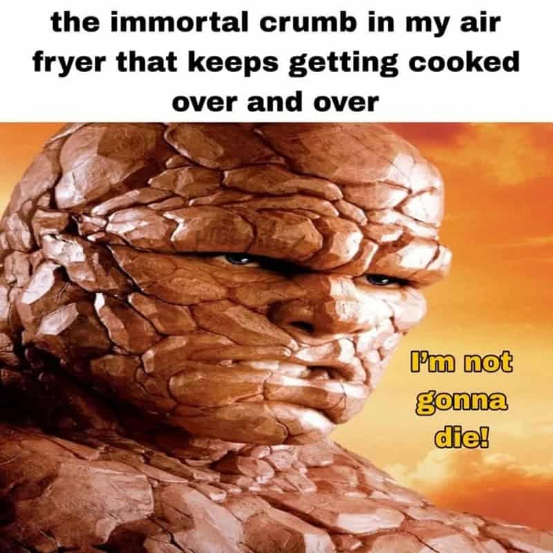 The immortal crumb in my air fryer that keeps getting cooked over and over.