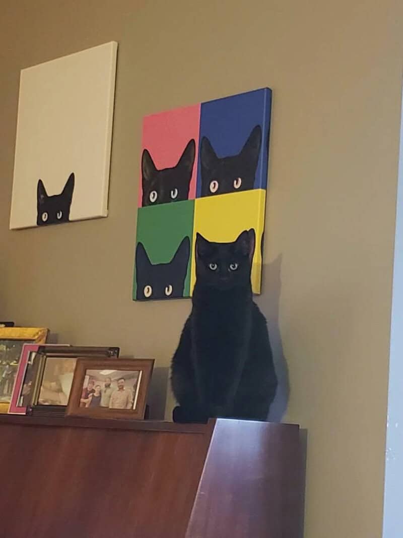 Black cat sitting on a wooden surface with colorful cat artwork on the wall behind it.