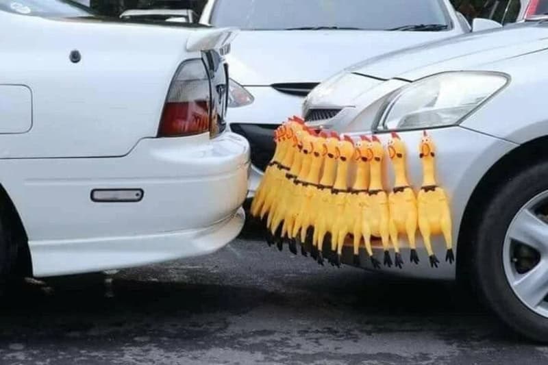 A duck-shaped bumper guard hanging between two cars in a parking lot.