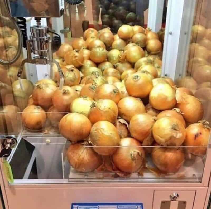 Onions in a display case at a store or market.