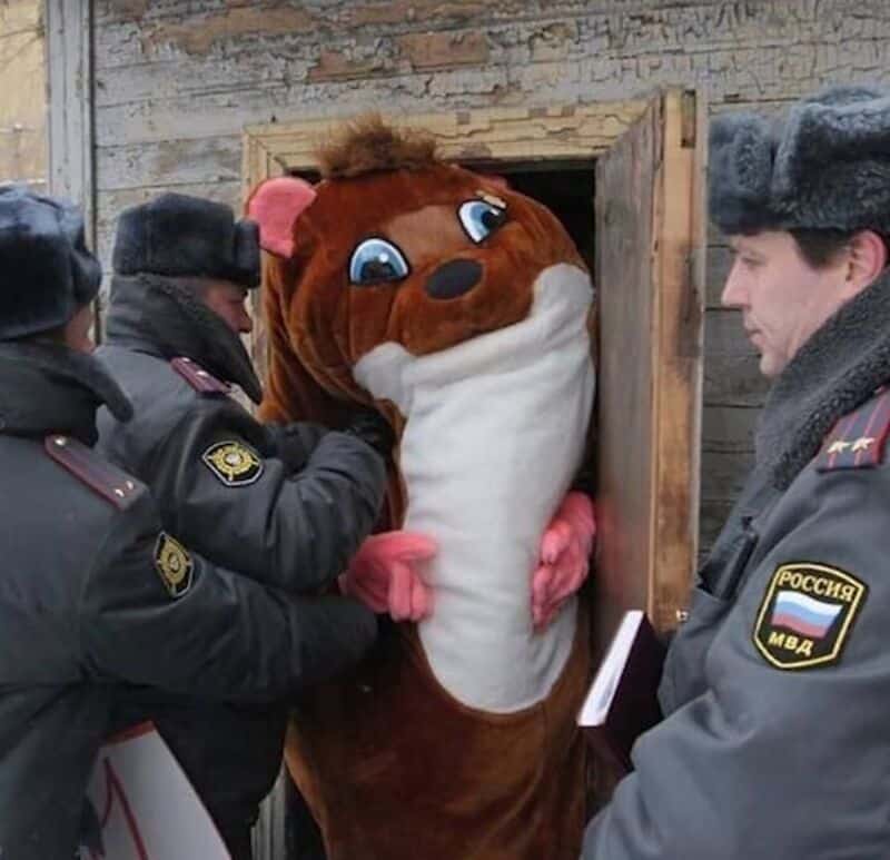 "Police officers with a person in a bear costume at a wooden door".