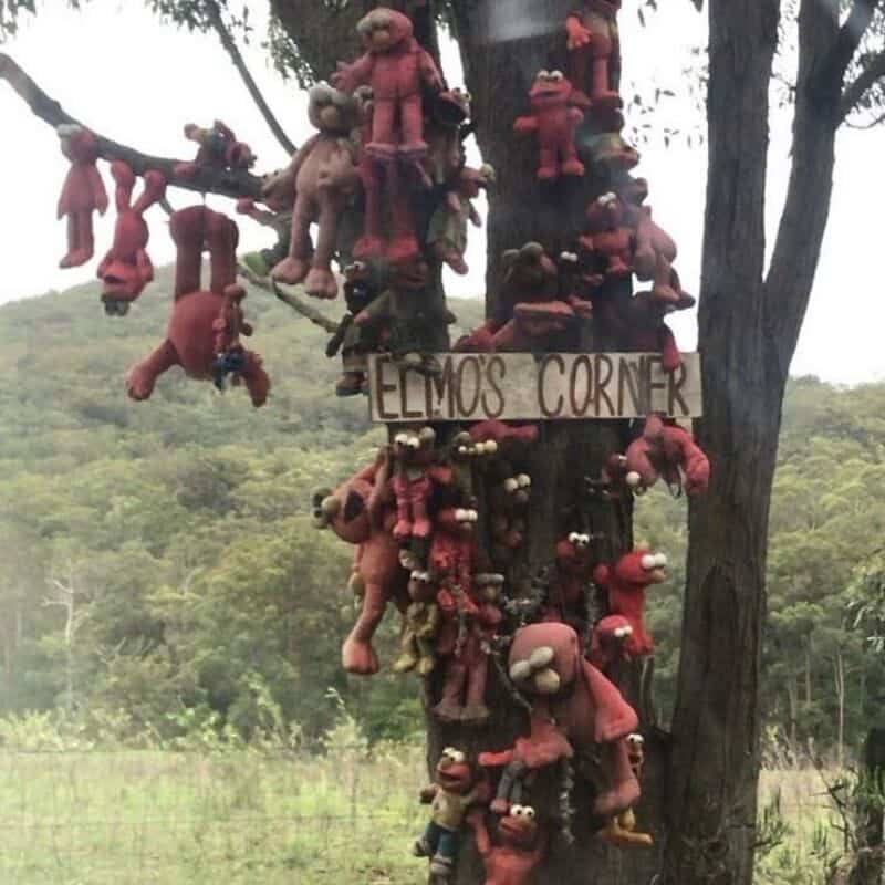 "Elmo's Corner" sign on a tree with numerous Elmo plush toys hanging from branches.