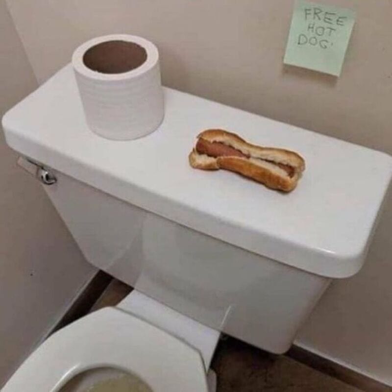 Free hot dog on toilet tank with toilet paper roll in bathroom.
