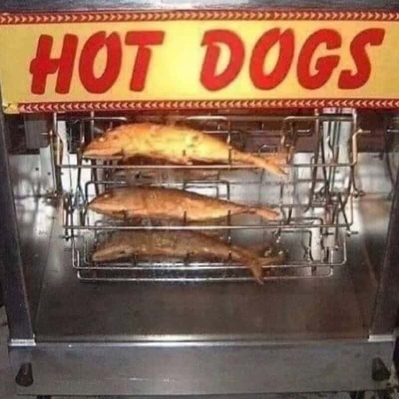 Hot dogs and fish roasting in a vertical rotisserie at a street food stand.