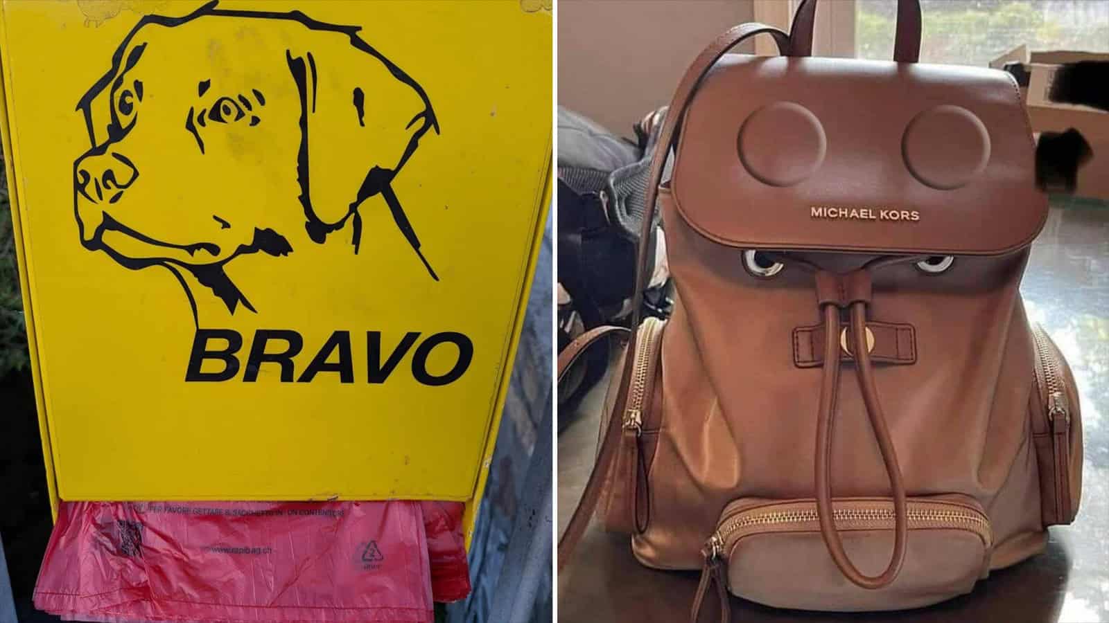 Dog illustration with the word BRAVO on a yellow background.