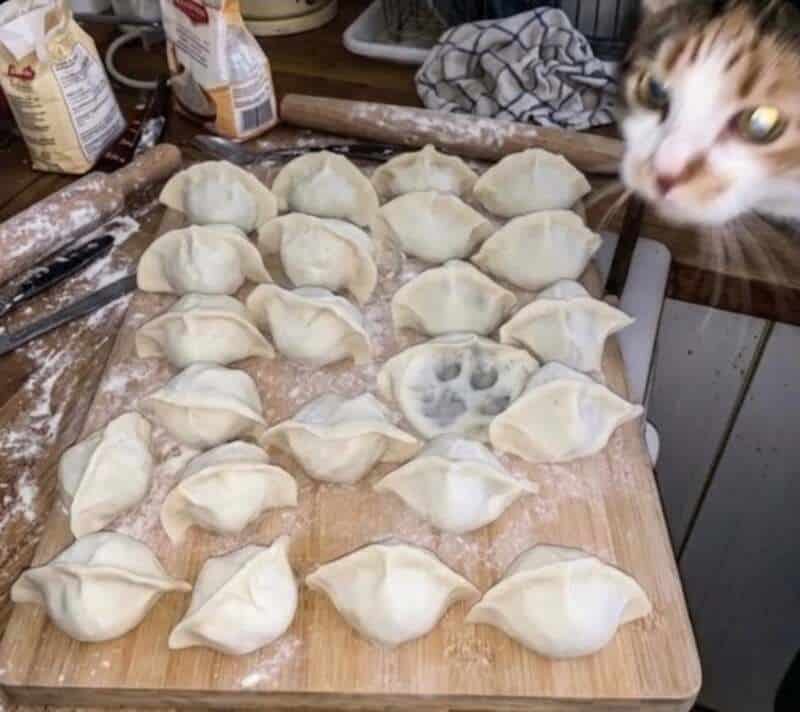 Dumplings on a wooden surface with a cat peeking in from the right.