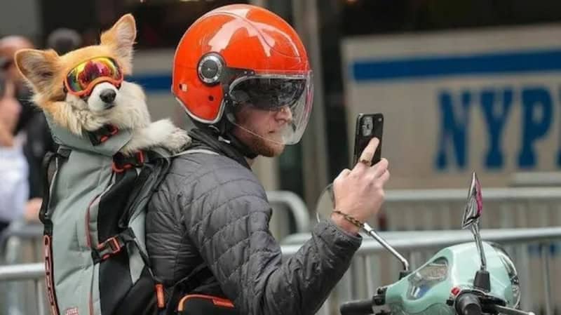 A woman with a dog on her back taking a selfie with her phone, NYPD vehicle in background.
