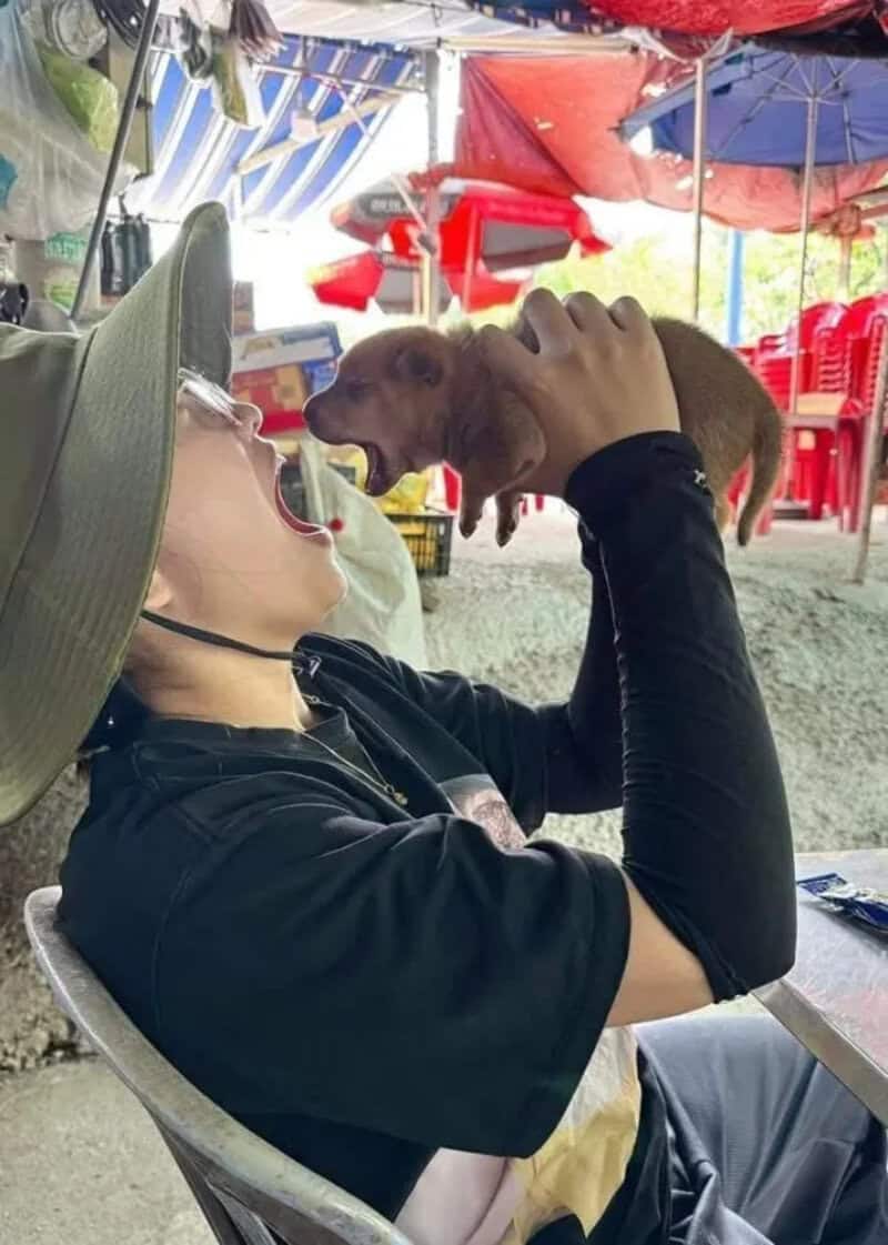 Person holding a small brown puppy in front of their face at an outdoor setting.