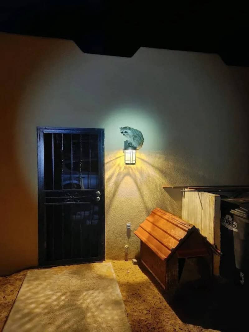 Small animal figure on wall with light, next to door and dog house at night.