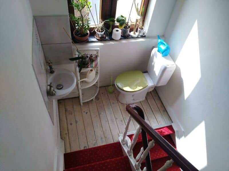 Small bathroom with a toilet, sink, and plants on the window sill.