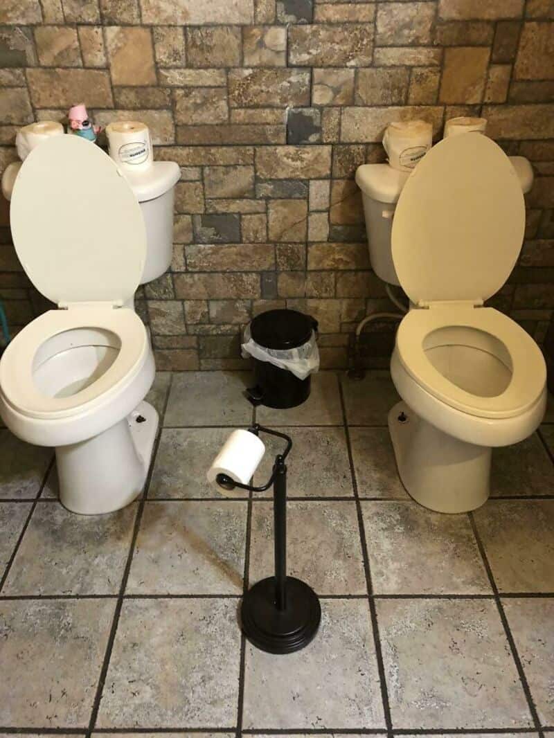 Two toilets with open lids, a trash can, and toilet paper in a bathroom with stone walls.