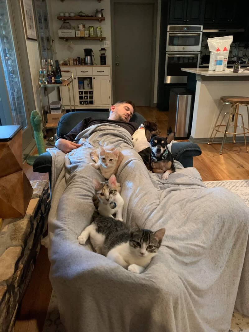 Man sleeping on sofa with four cats and two dogs in a cozy living room.