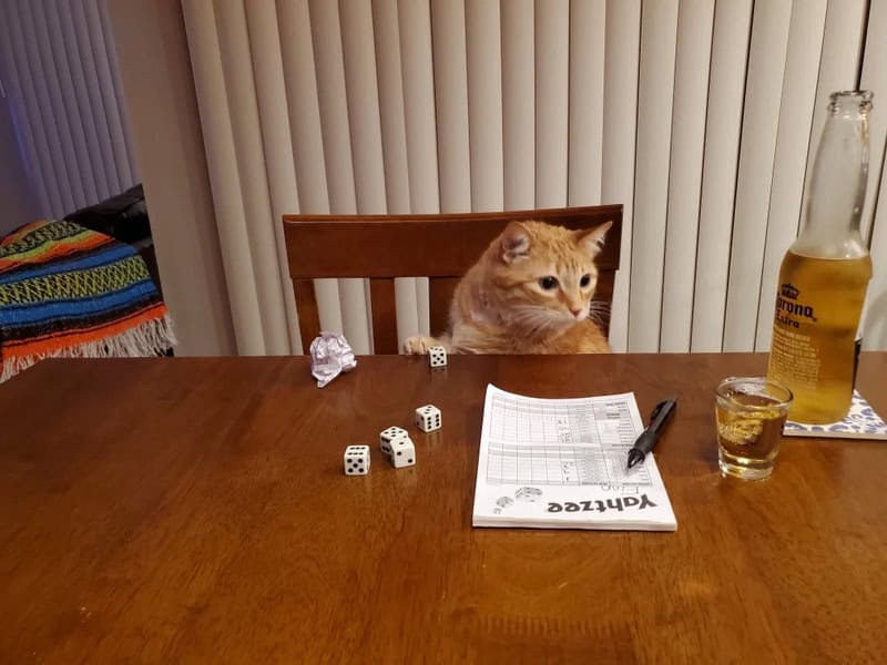 A cat sitting at a wooden table with dice, a pen, a notepad, and a glass of beer.