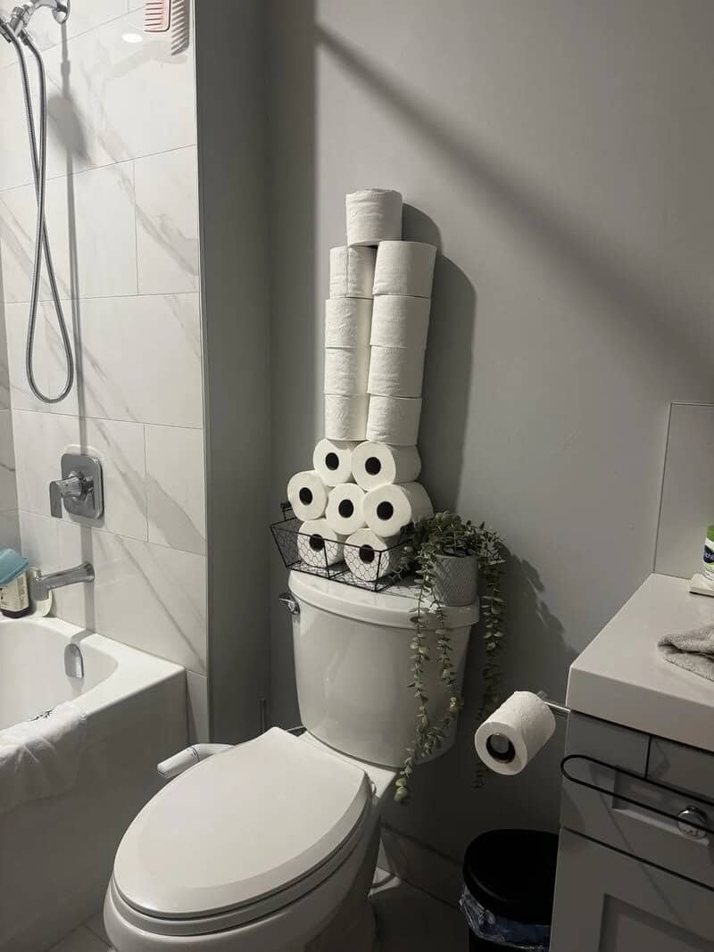 Toilet with stacked toilet paper rolls and a small plant on top, in a modern bathroom setting.