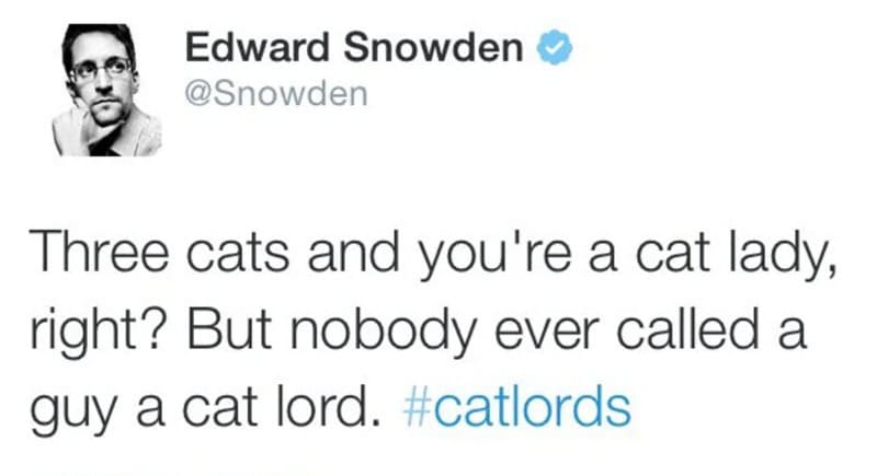 Tweet by Edward Snowden about cats and cat lords.