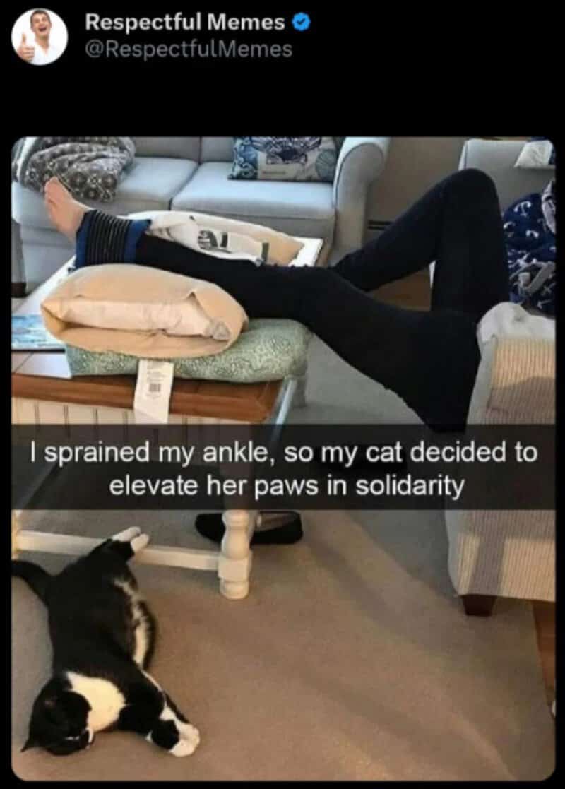 Person with injured ankle elevates it with cat's paws in solidarity.