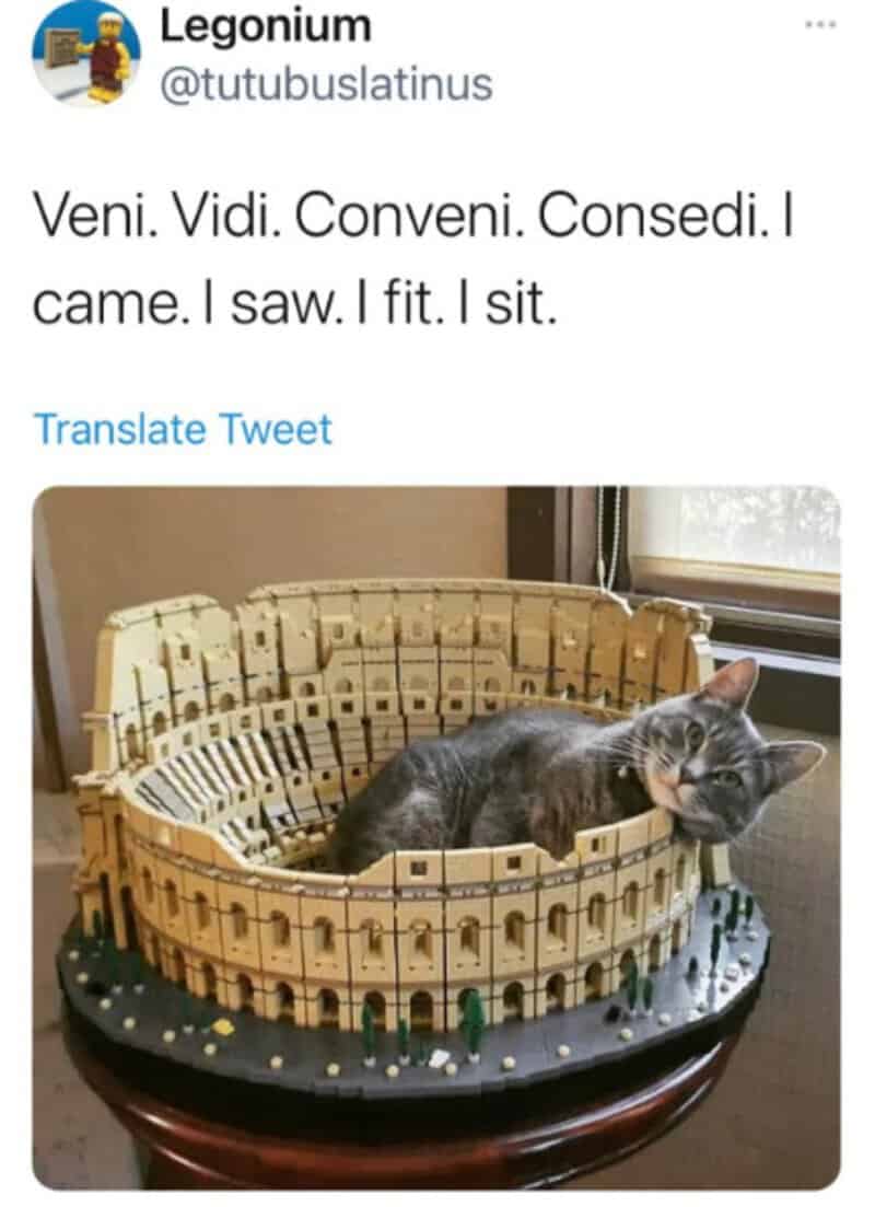 Cat lying inside a miniature model of the Colosseum with a caption about seeing and sitting.