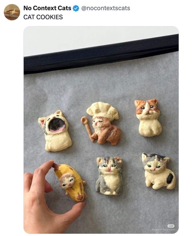 Six cat-shaped cookies on a gray surface, one being held by a hand.