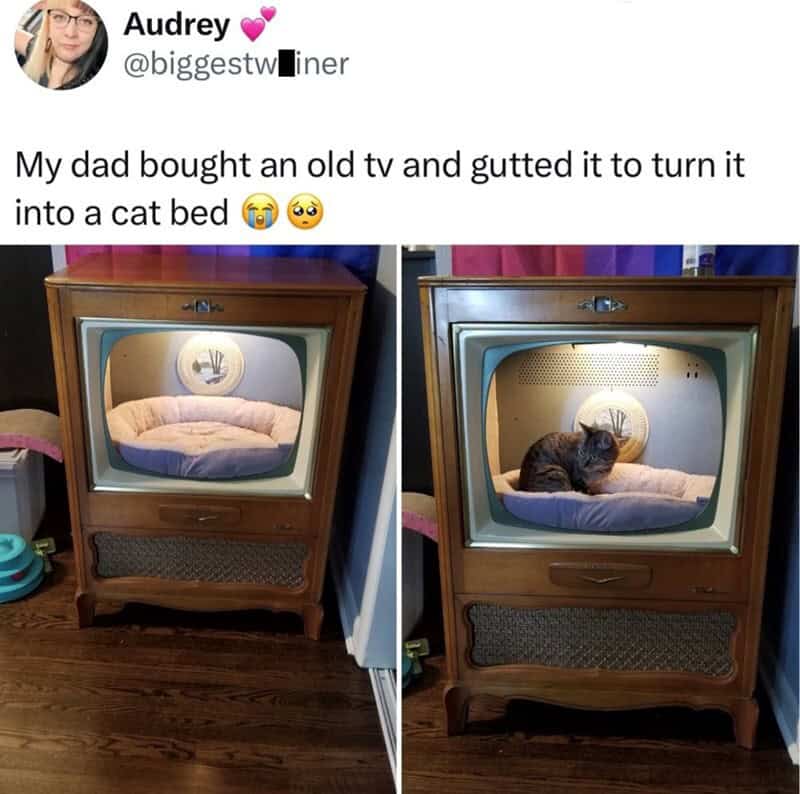 Old TV turned into a cat bed with a cat inside, original TV screen replaced with a cozy bed.