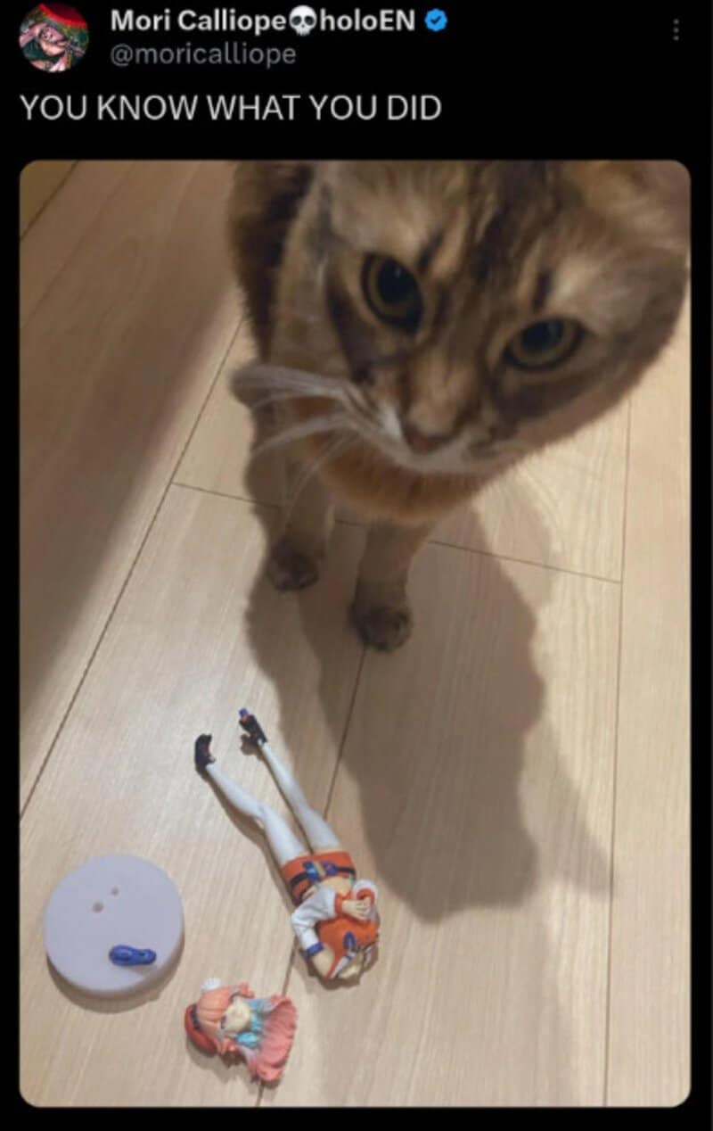 Cat looking down at a toy with a caption 'YOU KNOW WHAT YOU DID'.