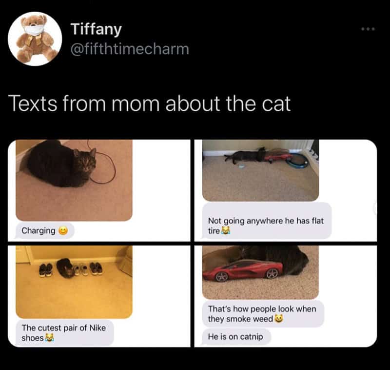 Screenshots of texts from mom about the cat, including charging, flat tire, Nike shoes, and smoking.