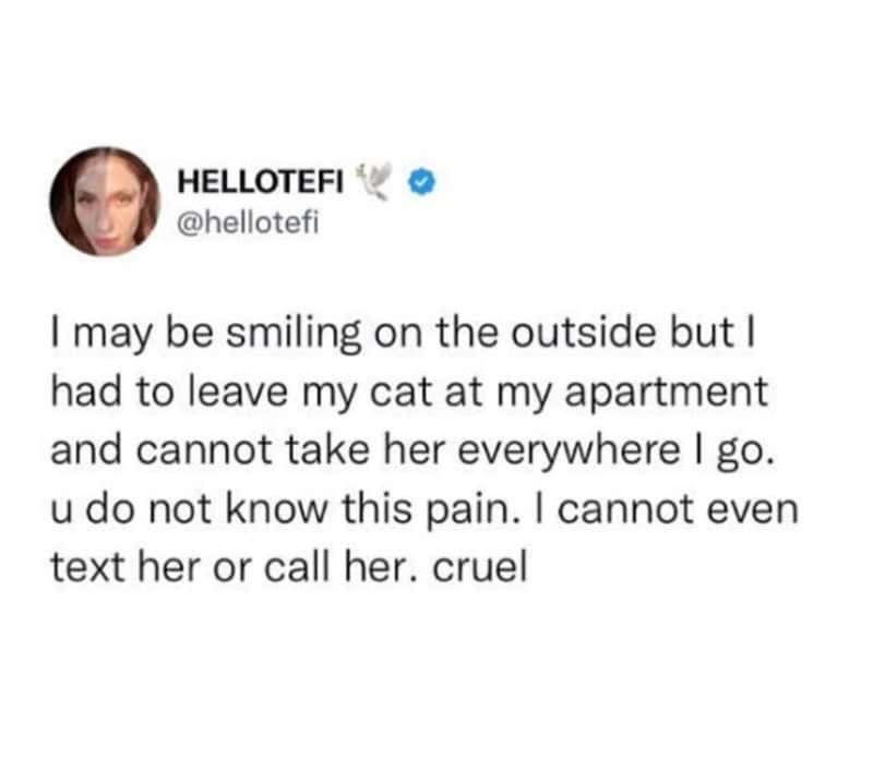 Tweet about leaving cat at home while smiling outside, feeling guilty.