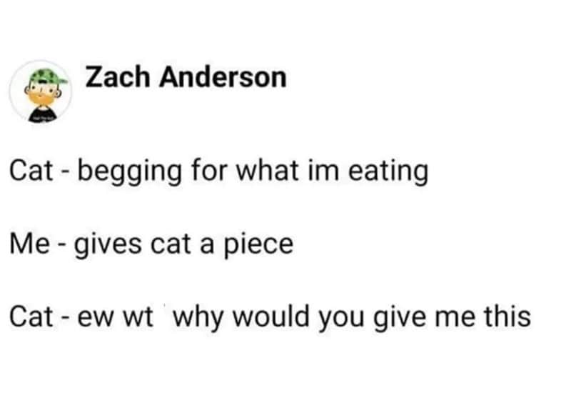 Zach Anderson's meme about a cat begging for food and getting a piece.
