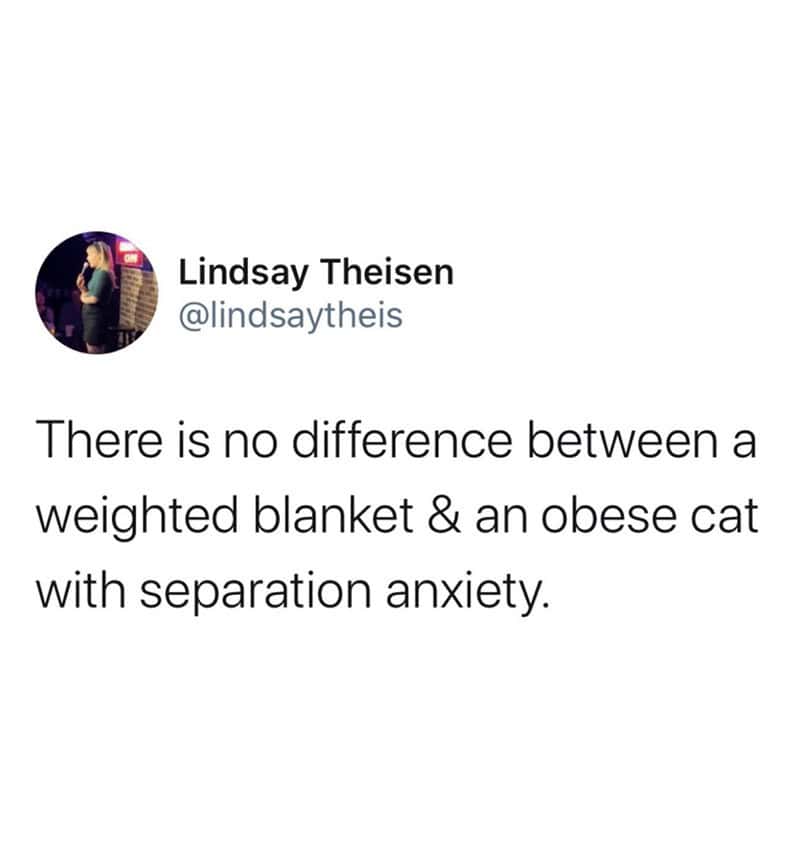 There is no difference between a weighted blanket & an obese cat with separation anxiety.