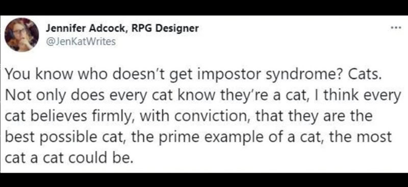 Quote about cats and impostor syndrome from Jennifer Adcock.