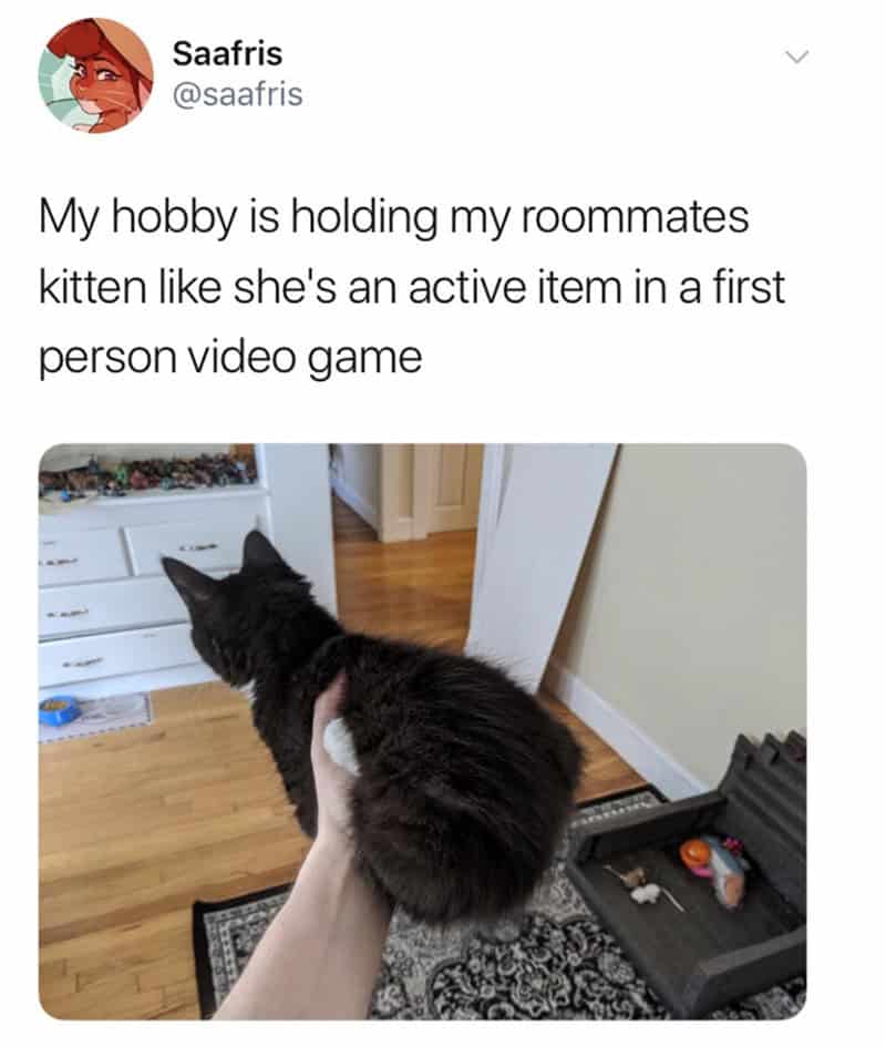 Black kitten held up like a video game character in a room.