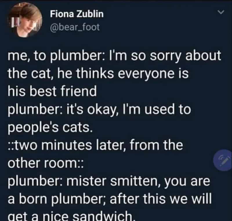Twitter post by Fiona Zublin about a humorous conversation with a plumber.