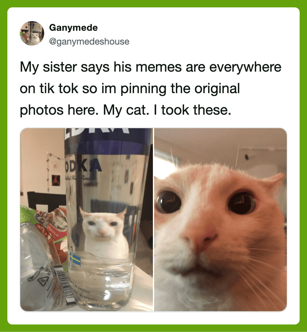 A cat's face reflected in a glass of water with a bottle behind it.