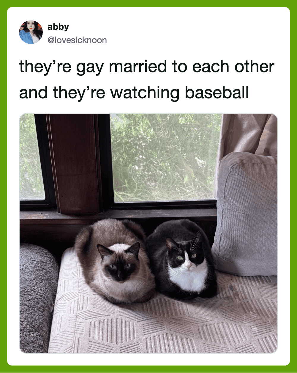 Two cats sitting on a windowsill, caption about gay marriage and watching baseball.