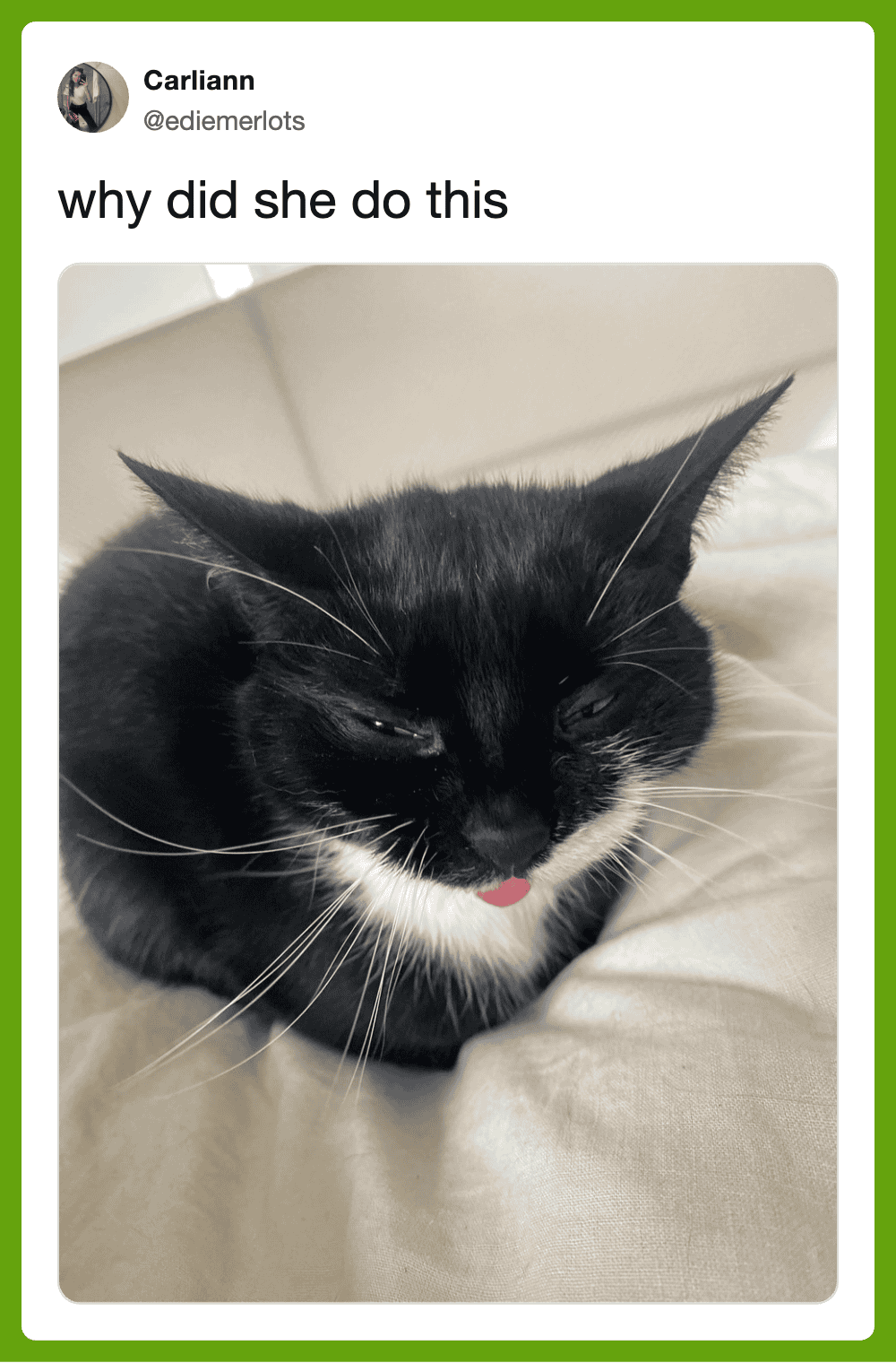 Black and white cat with a funny expression, lying on a bed.