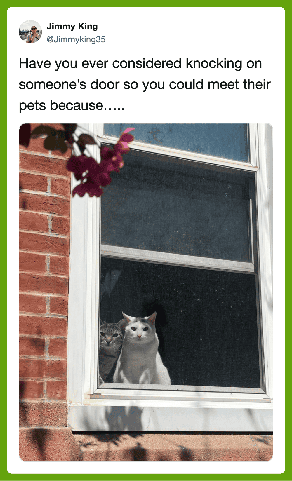 Have you ever considered knocking on someone’s door to meet their pets?.