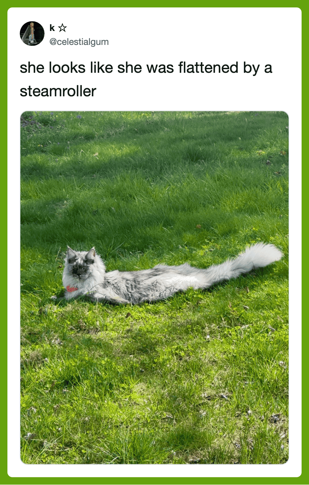 She looks like she was flattened by a steamroller.