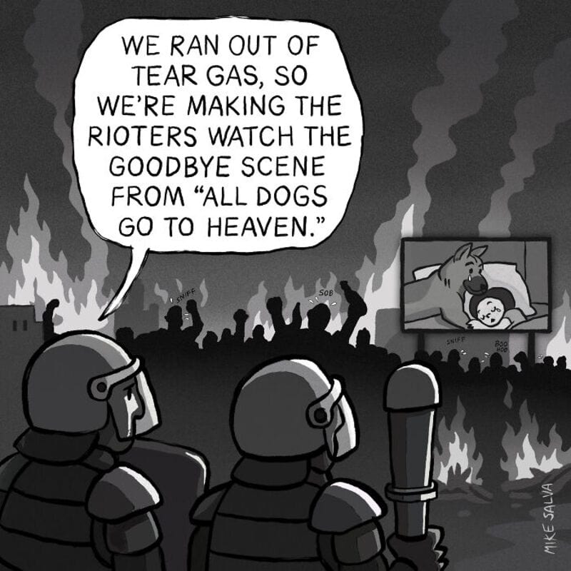 "Rioters watch a dog being taken to heaven on a TV screen during a protest scene.".