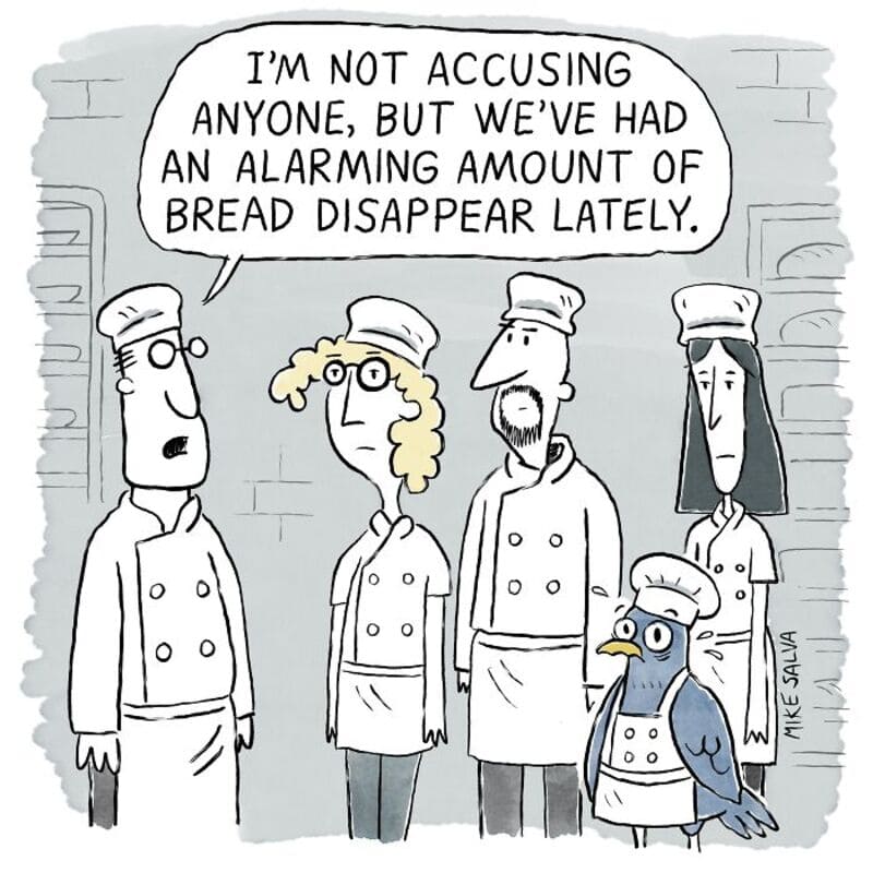 Chefs and a penguin with a speech bubble about bread disappearing.