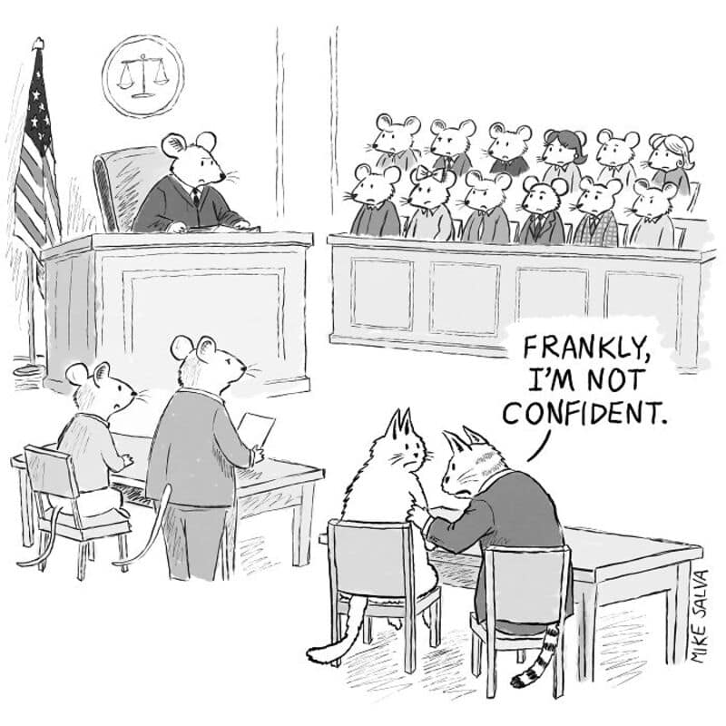 Courtroom scene with mice and cats, one mouse says, "Frankly, I'm not confident.".