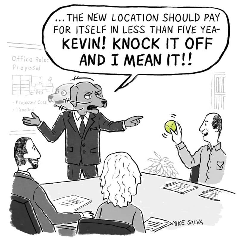 Cartoon of a cat in a suit shouting at a man with a tennis ball in an office meeting.