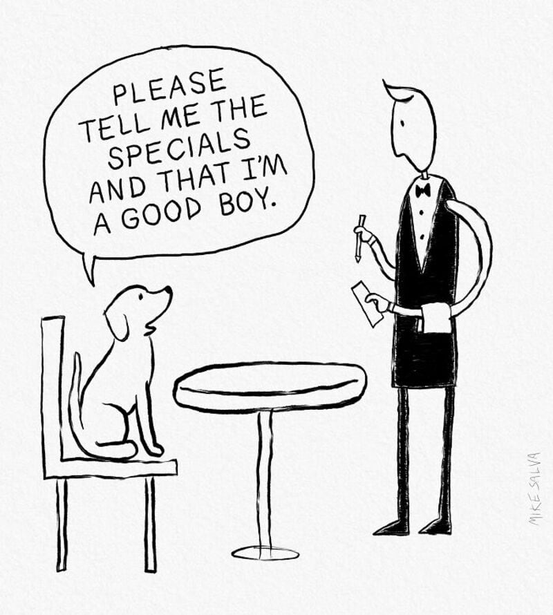 A dog sitting on a chair asking a man for the special and to tell him he's a good boy.