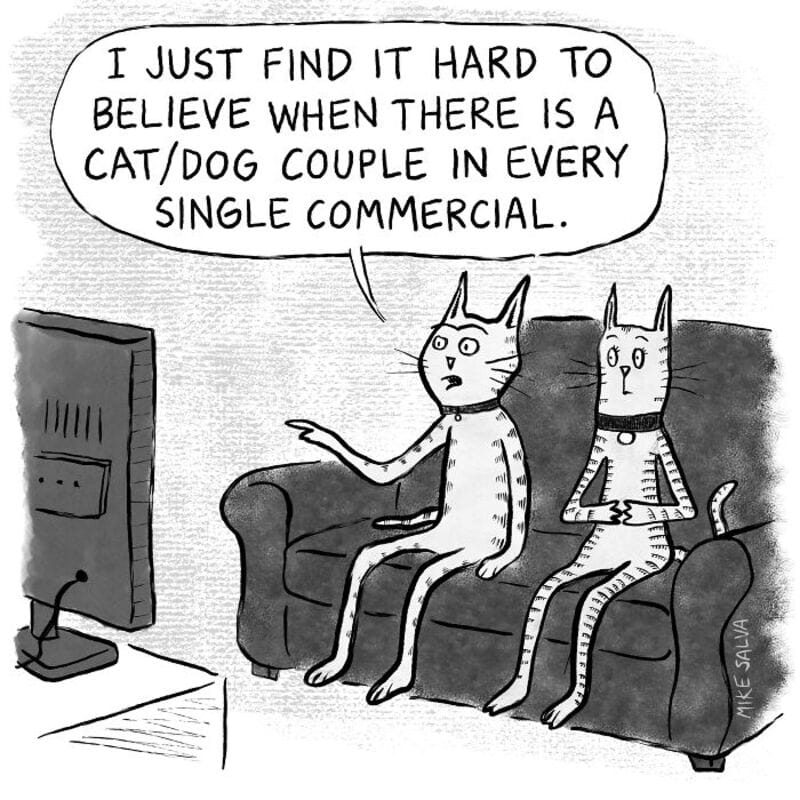 "Cat and dog couple in TV commercial, one says it's hard to believe they appear together.".