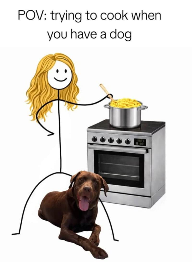 Trying to cook with a dog in the kitchen, woman stirring pasta on stove, dog sitting nearby with ton.