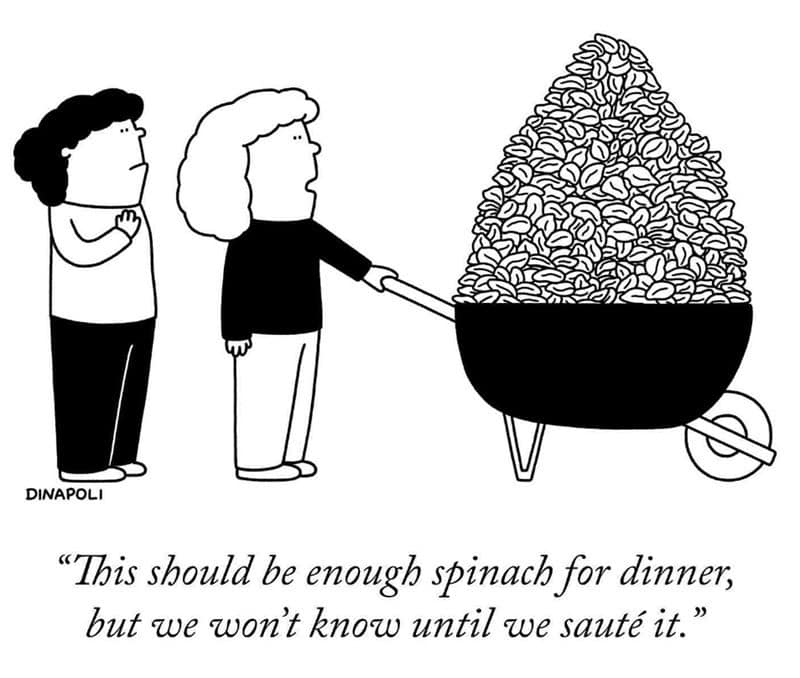 Two people with a wheelbarrow full of spinach, one says, "This should be enough spinach for dinner,.