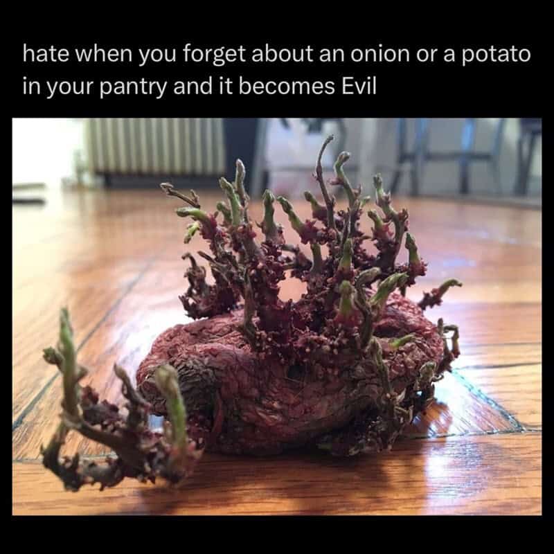 Forget about an onion or potato in your pantry and it becomes Evil.
