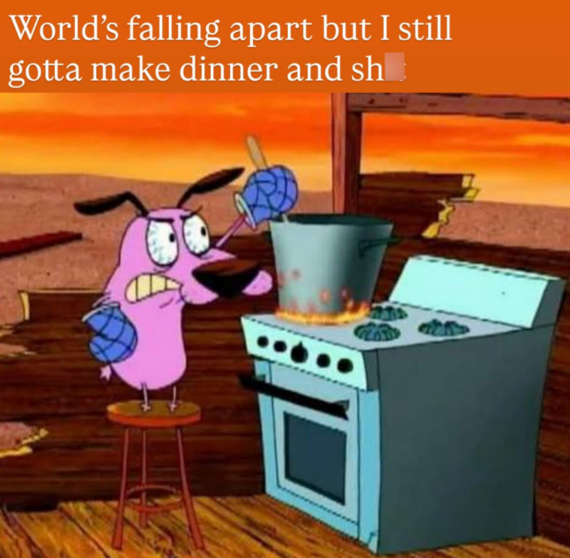 Burnt dinner scene with pink cartoon dog in a kitchen, frustrated with a pot on the stove.