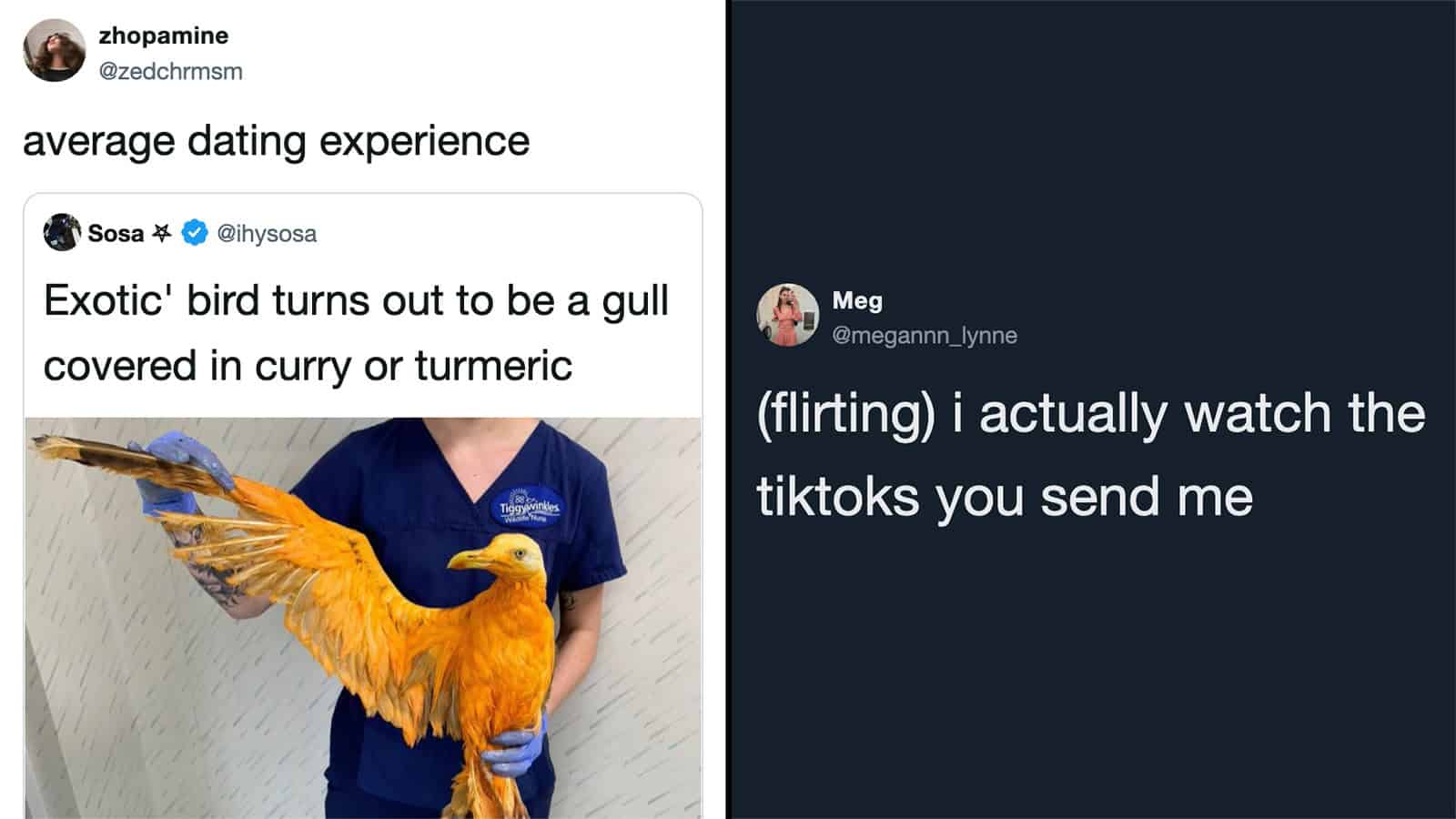 Bird with orange feathers covered in curry or turmeric, held by a person in a blue shirt.