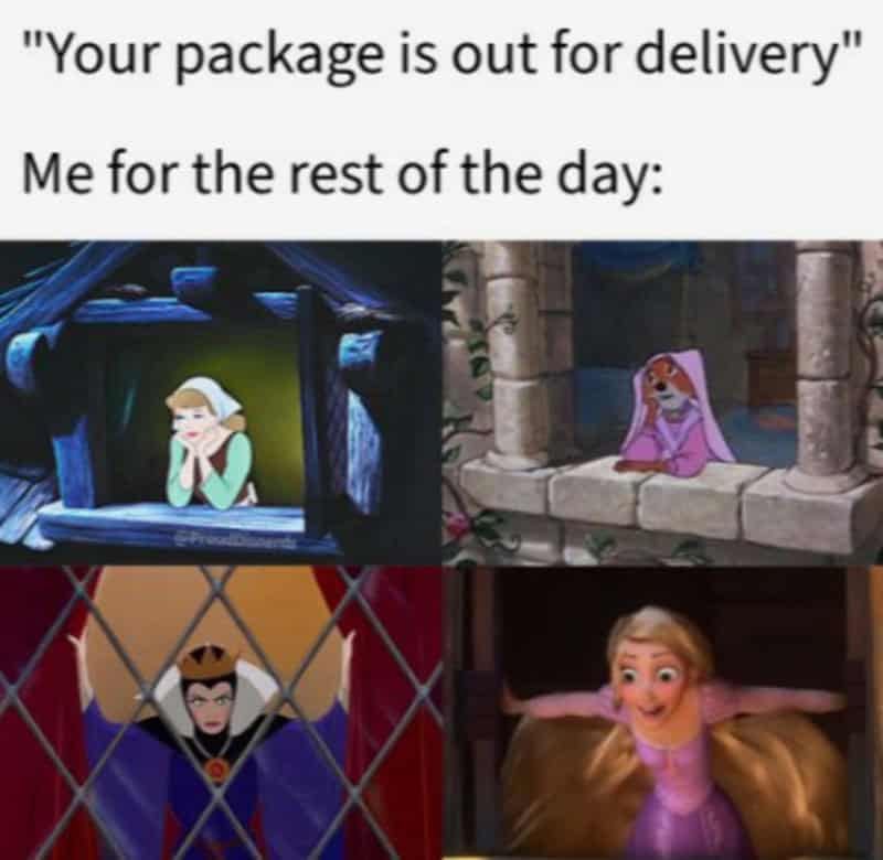 Cinderella, Rapunzel, Maleficent, and Aurora.