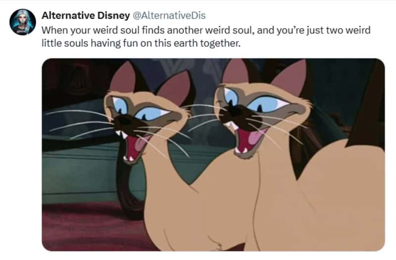 Two Siamese cats with blue eyes and open mouths, looking happy.